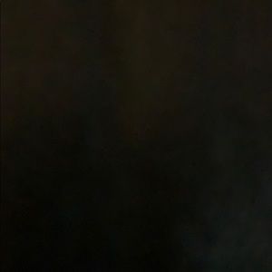 Meet your Posher, Danica